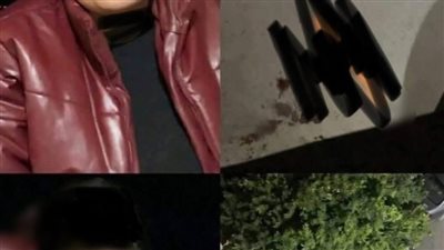 article